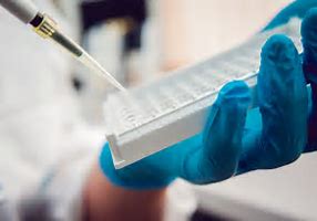 Image result for مولکولی